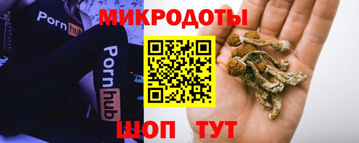 Галлюциногенные грибы Magic Shrooms Барабинск